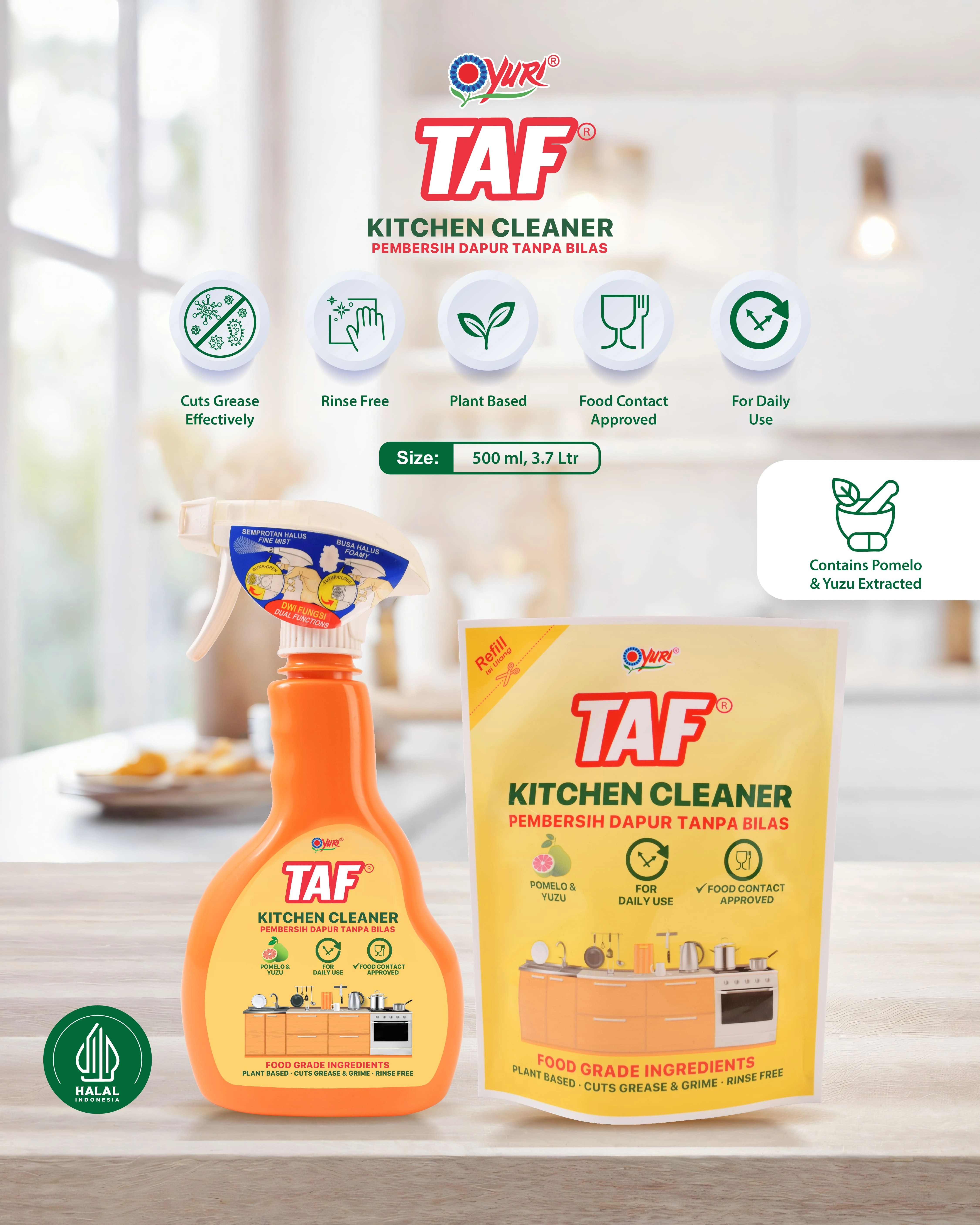 infografis taf 1